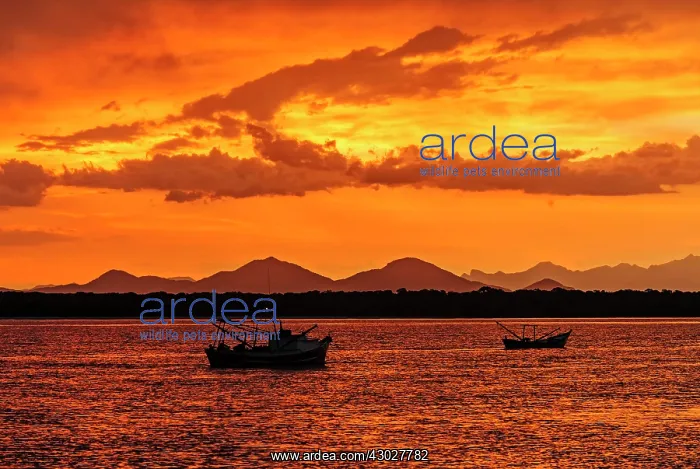 : sunset on the beach, Superagui National Park, Atlantic : sunset on the beach, Superagui National Park, Atlantic