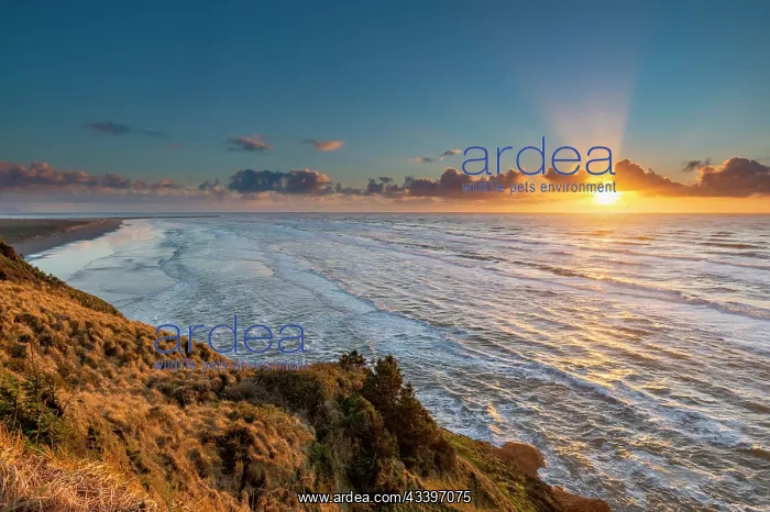 : Sunset over Benson Beach and the Pacific Ocean at : Sunset over Benson Beach and the Pacific Ocean at