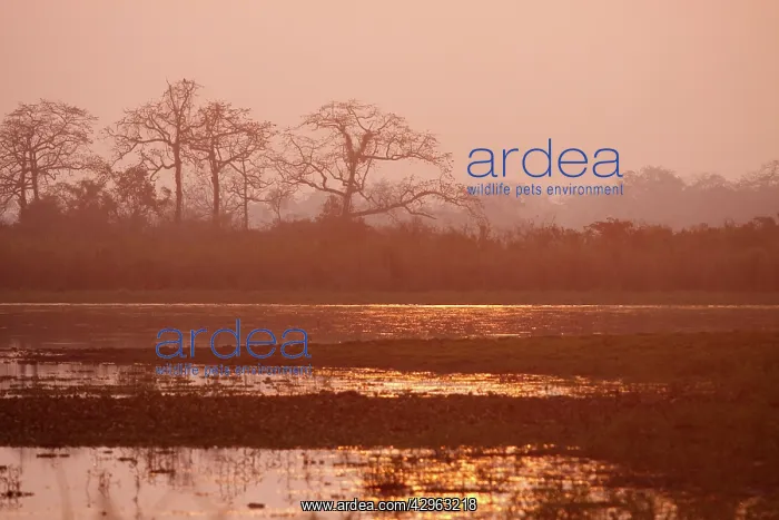 : Sunset - over Brahamputra river : Sunset - over Brahamputra river