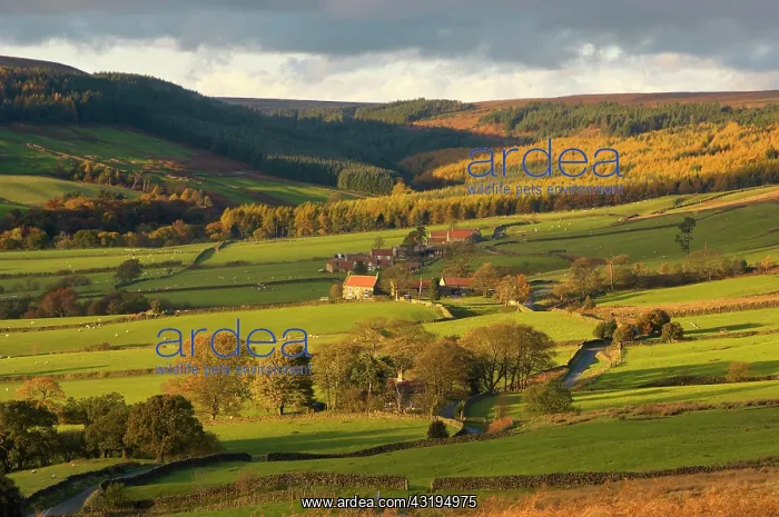 : Sunset over Bransdale, North York Moors National : Sunset over Bransdale, North York Moors National