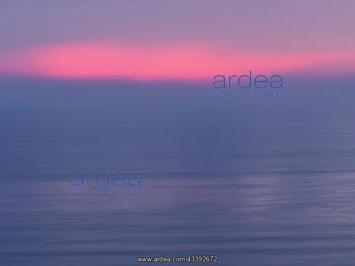 : After sunset from Cabrillo National Monument, Pacific : After sunset from Cabrillo National Monument, Pacific