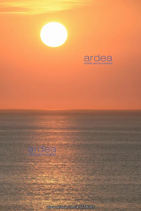 : Sunset over calm sea, Wangerooge, East Frisian Islands : Sunset over calm sea, Wangerooge, East Frisian Islands