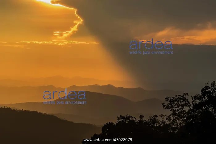 : sunset, Chicaque Natural Park, Colombia : sunset, Chicaque Natural Park, Colombia