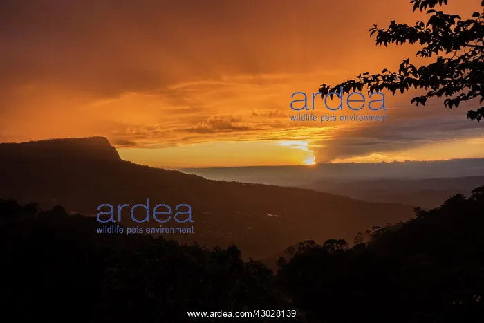 : sunset, Chicaque Natural Park, Colombia : sunset, Chicaque Natural Park, Colombia