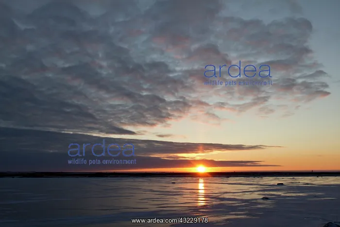: Sunset Churchill Wildlife Management Area : Sunset Churchill Wildlife Management Area