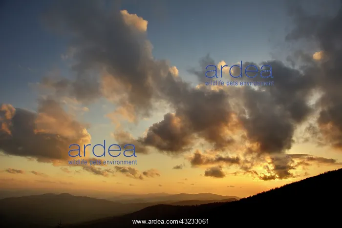: Sunset from Clingman's Dome, Great Smoky : Sunset from Clingman's Dome, Great Smoky