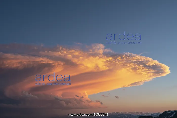 : Sunset cloud over the Arapaho National Forest, Colorado : Sunset cloud over the Arapaho National Forest, Colorado