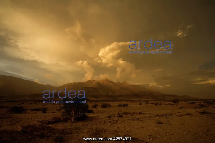  : Sunset with cloud build up over the Brandberg Massive