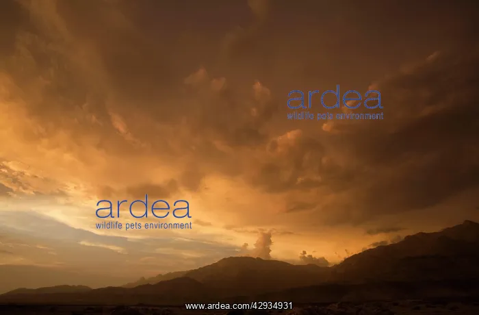 : Sunset with cloud build up over the Brandberg Massive : Sunset with cloud build up over the Brandberg Massive