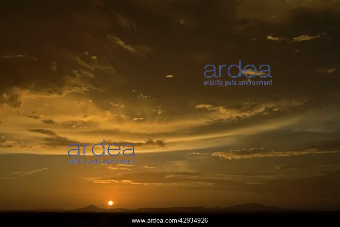 : Sunset with cloud build near the Brandberg Massive : Sunset with cloud build near the Brandberg Massive