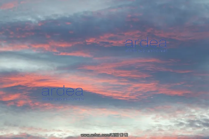  : Sunset Clouds