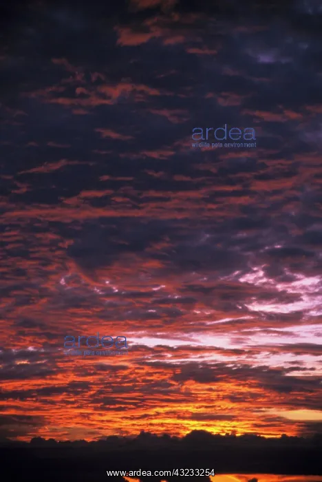 : Sunset over clouds : Sunset over clouds