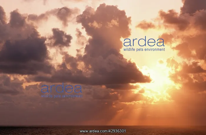 : Sunset - with clouds over Sea : Sunset - with clouds over Sea