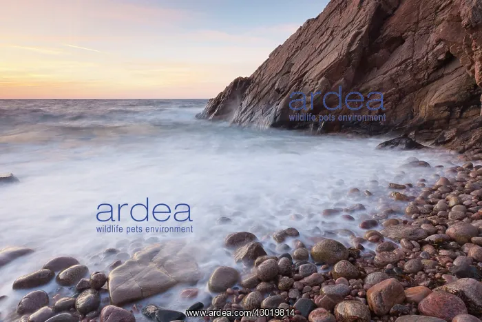 : Sunset at the coast with rocks and cliffs : Sunset at the coast with rocks and cliffs