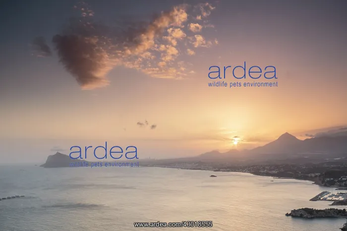  : Sunset over coastal scene with Altea in background