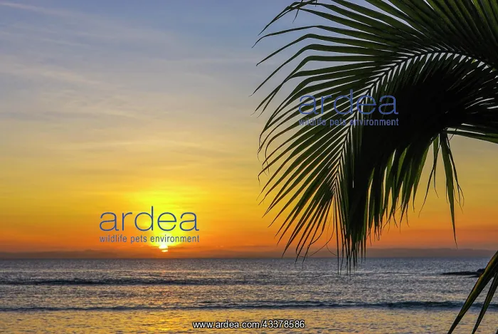 : Sunset on the Coastline of the Island Ile Sainte : Sunset on the Coastline of the Island Ile Sainte