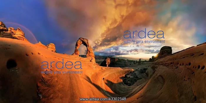 : Sunset at Delicate Arch Arch, Dusk, Arches National : Sunset at Delicate Arch Arch, Dusk, Arches National