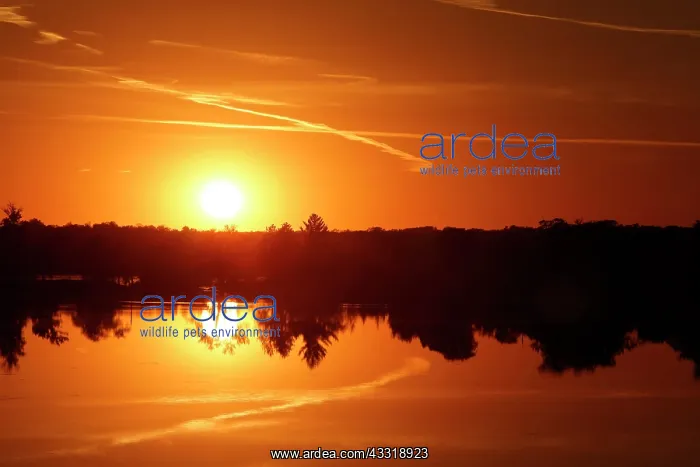 : Sunset, Detroit Lakes, Minnesota, USA, North America : Sunset, Detroit Lakes, Minnesota, USA, North America