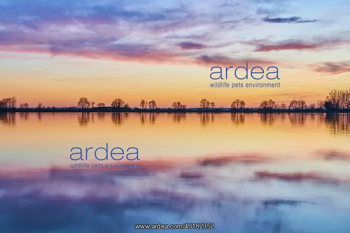 : Sunset above donau river, Upper Palatinate, Bavaria : Sunset above donau river, Upper Palatinate, Bavaria