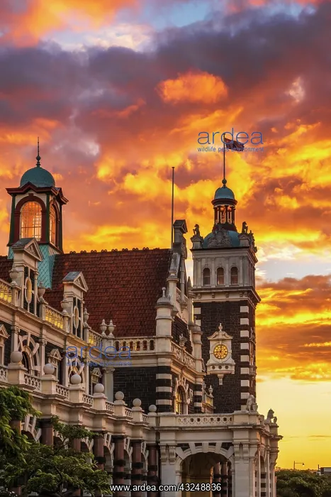 : Sunset over the Dunedin Railway Station, Dunedin : Sunset over the Dunedin Railway Station, Dunedin