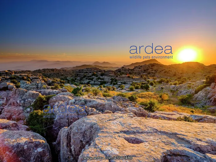 : Sunset in El Torcal Nature Reserve, Torcal de Antequera : Sunset in El Torcal Nature Reserve, Torcal de Antequera