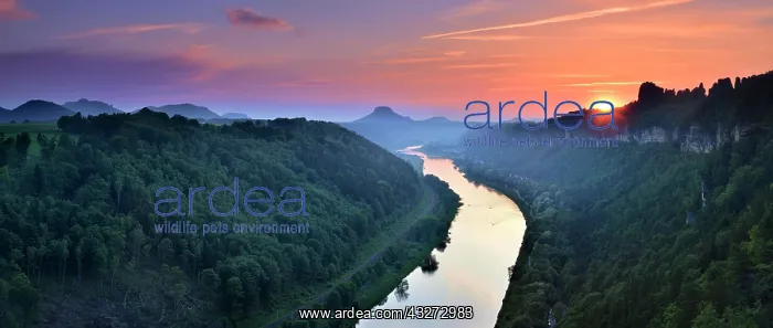 : Sunset in the Elbe Valley, on the right the Schrammsteine : Sunset in the Elbe Valley, on the right the Schrammsteine