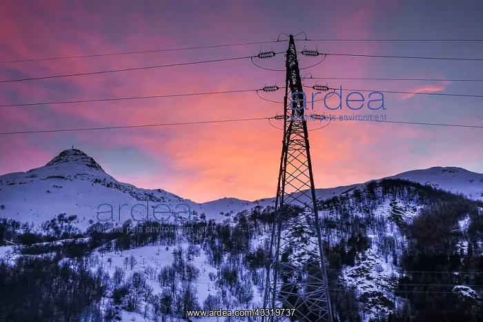  : Sunset, electricity pylon, Vallee des Belleville