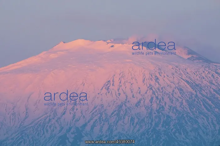 : Sunset, Etna volcano, Etna, smoking, Sicily, Italy, Europe : Sunset, Etna volcano, Etna, smoking, Sicily, Italy, Europe