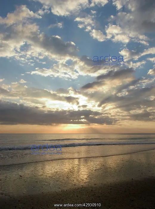 : SUNSET - evening light over Spain's Atlantic coastline : SUNSET - evening light over Spain's Atlantic coastline