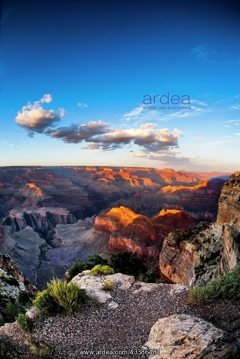  : Sunset, evening mood, Hopi Point, Grand Canyon National