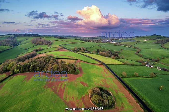 : Sunset over Fields and Farms from a drone, Torquay : Sunset over Fields and Farms from a drone, Torquay