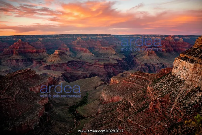 : Sunset over the Grand Canyon, Bright Angel Trailhead : Sunset over the Grand Canyon, Bright Angel Trailhead