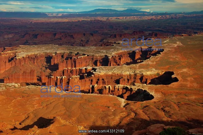 : Sunset at Grand View Point Overlook, Canyonlands : Sunset at Grand View Point Overlook, Canyonlands