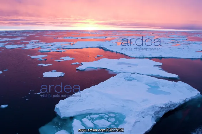 : Sunset, Greenland Sea, East Coast of Greenland : Sunset, Greenland Sea, East Coast of Greenland