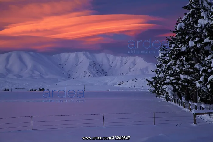 : Sunset over Hawkdun Range and snowy farmland : Sunset over Hawkdun Range and snowy farmland