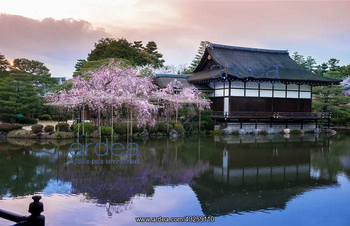  : Sunset under heian jingu temple in ky&, x134bec;