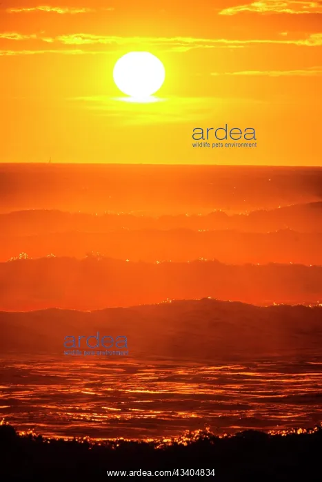 : Sunset with high waves at the sea with psychedelic : Sunset with high waves at the sea with psychedelic