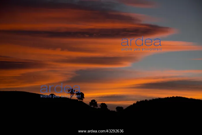 : Sunset - over the hills of Teal Valley - Hira - : Sunset - over the hills of Teal Valley - Hira -