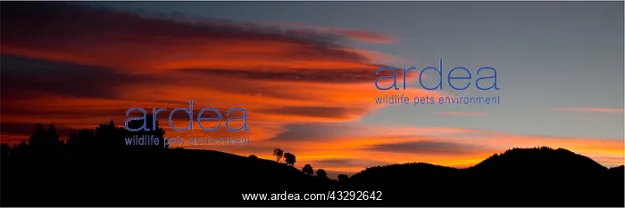: Sunset - over the hills of Teal Valley - Hira - : Sunset - over the hills of Teal Valley - Hira -