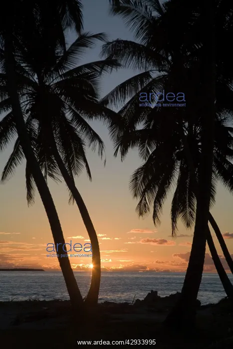  : Sunset, Home Island, Cocos (Keeling) Islands, Indian
