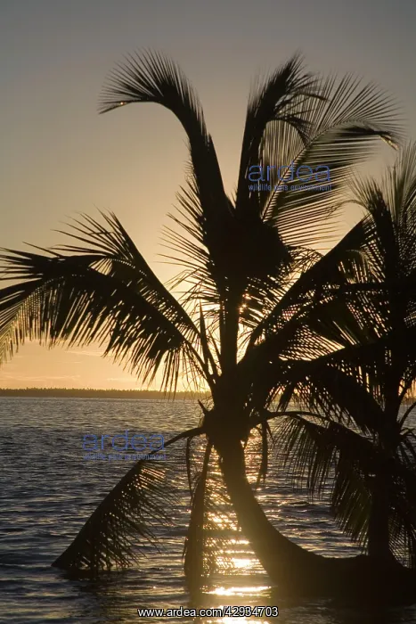 : Sunset on Home Island near Oceania House : Sunset on Home Island near Oceania House