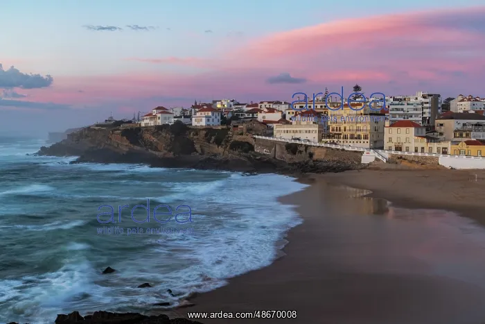 : Sunset hour over the beach at Praia das Macas near Colares : Sunset hour over the beach at Praia das Macas near Colares