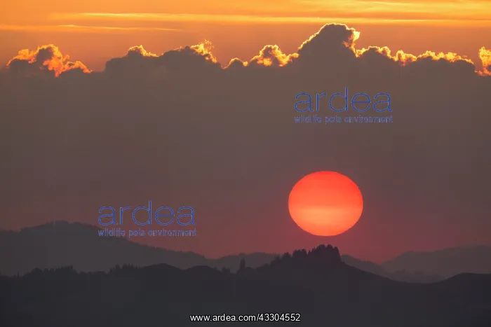 : Sunset, Hundwilerh&, x1a896c; Appenzell, Appenzell : Sunset, Hundwilerh&, x1a896c; Appenzell, Appenzell