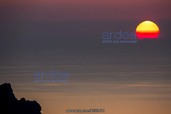 : Sunset, Ibiza, Baleares Islands, Spain