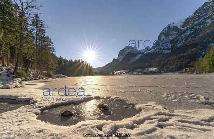 : Sunset at the icy Hintersee, Berchtesgaden, Bavaria : Sunset at the icy Hintersee, Berchtesgaden, Bavaria