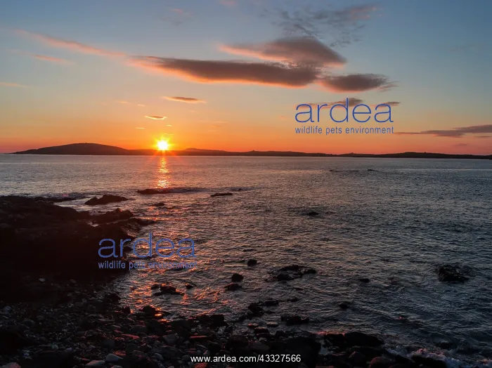 : Sunset over the island of Papa Stour. Shetland : Sunset over the island of Papa Stour. Shetland