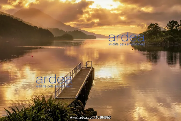 : Sunset at a jetty in Elaine Bay, French Pass, Marlborough : Sunset at a jetty in Elaine Bay, French Pass, Marlborough