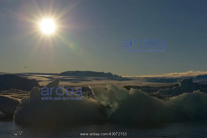 : Sunset at J?kulsarlon glacier lake with icebergs in the fore : Sunset at J?kulsarlon glacier lake with icebergs in the fore