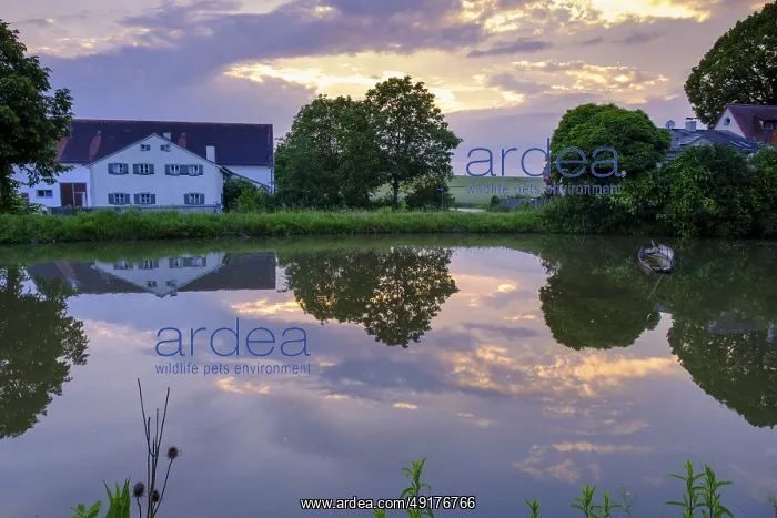 : Sunset at Karlsgraben or Fossa Carolina in Graben near Treuchtlingen : Sunset at Karlsgraben or Fossa Carolina in Graben near Treuchtlingen