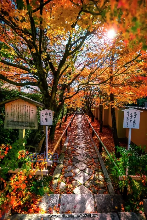 : Sunset in the Koetsuji temple, Kyoto, Japan : Sunset in the Koetsuji temple, Kyoto, Japan